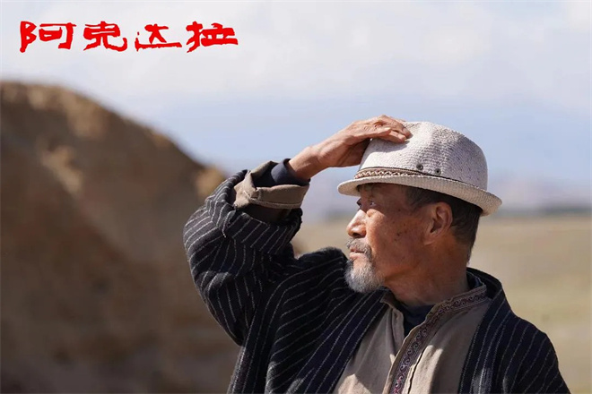 舞姬芭蕾舞剧情介绍_芭蕾杀姬电影_街舞和芭蕾结合的电影