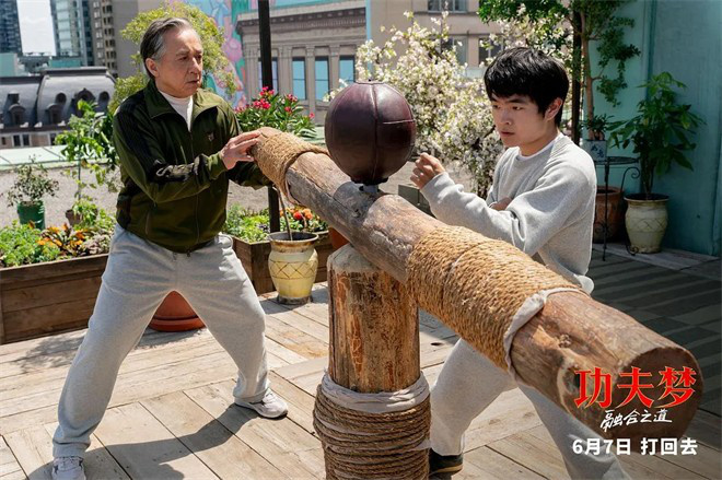 芭蕾杀姬电影_街舞和芭蕾结合的电影_舞姬芭蕾舞剧情介绍
